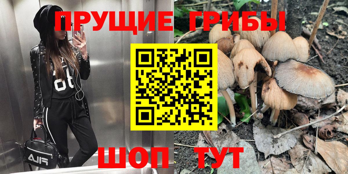 Псилоцибиновые грибы GOLDEN TEACHER  Псилоцибиновые грибы GOLDEN TEACHER  Приморско-Ахтарск  Вход с VPN 